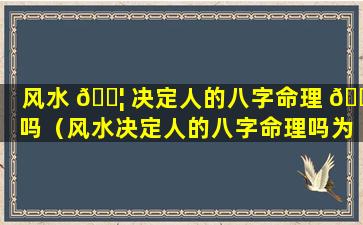 风水 🐦 决定人的八字命理 🐘 吗（风水决定人的八字命理吗为什么）